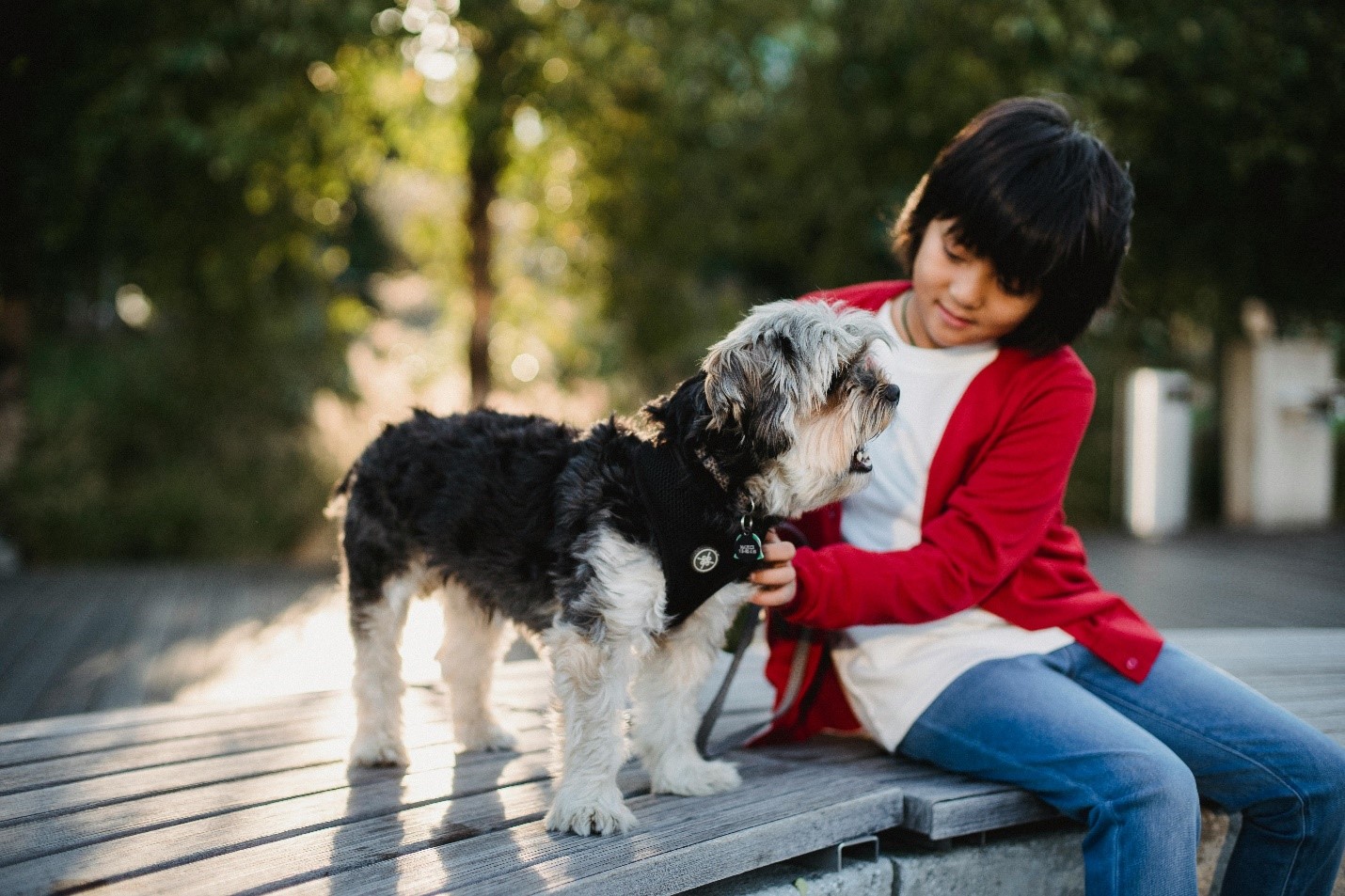 כלב לילדים: מה היתרונות של לגדול בבית עם בעל חיים?